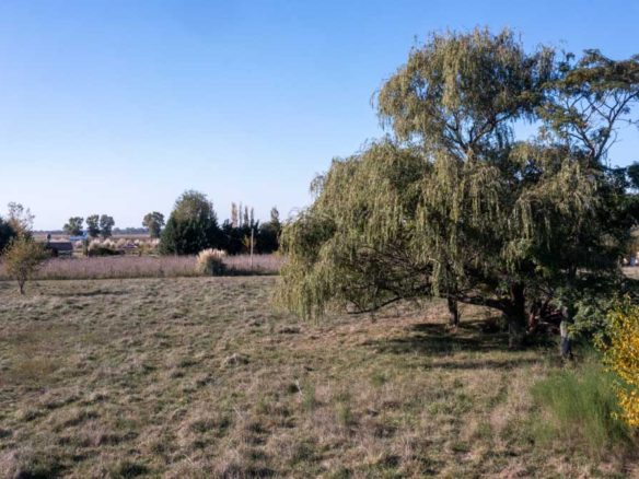 Sebastián Zara ¿Qué hay que tener en cuenta para la compra de un terreno?