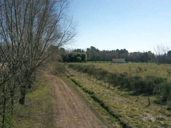 Escritura por tracto abreviado