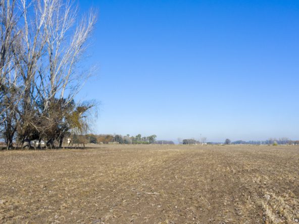 Chacra de 12 Hectáreas en La Porteña, Lobos