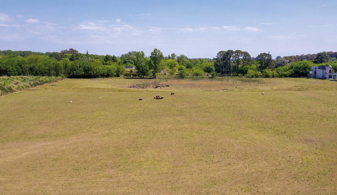 Loteo en La Araucaria