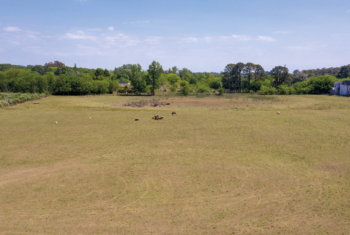 Loteo en La Araucaria