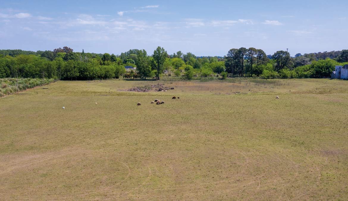 Loteo en La Araucaria