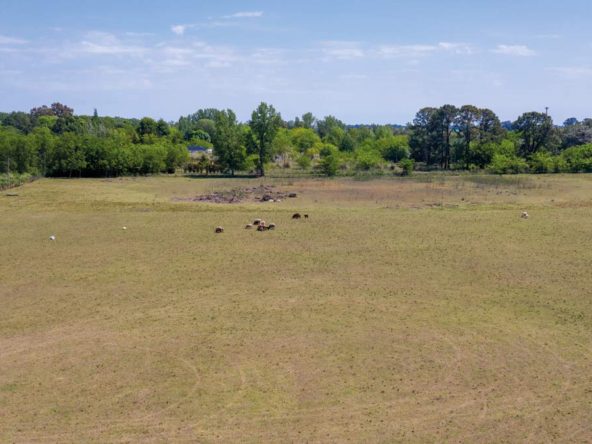Loteo en La Araucaria