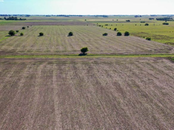 Campo de 20 hectáreas