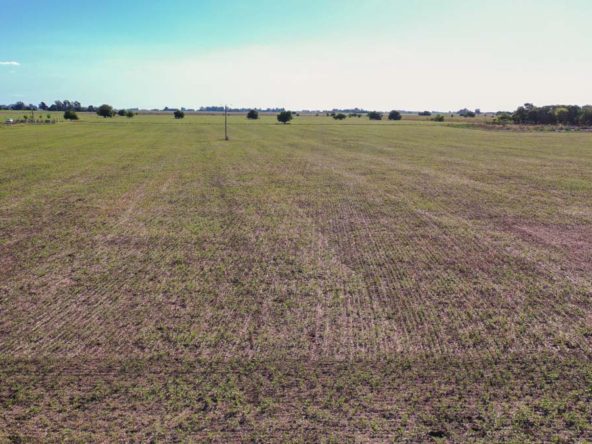 Campo de 20 hectáreas