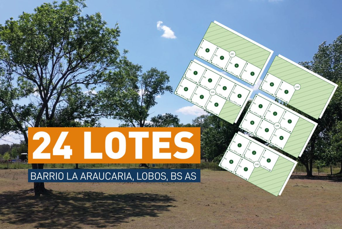 Loteo en La Araucaria