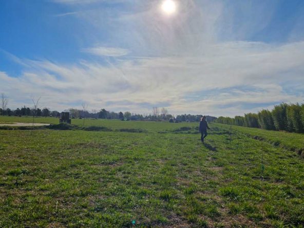 Terreno en venta en La Federala