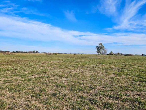 Terreno en venta en La Federala