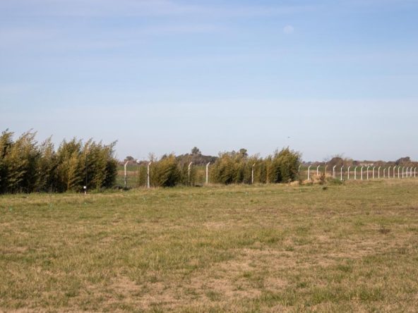 Terreno en venta en La Federala