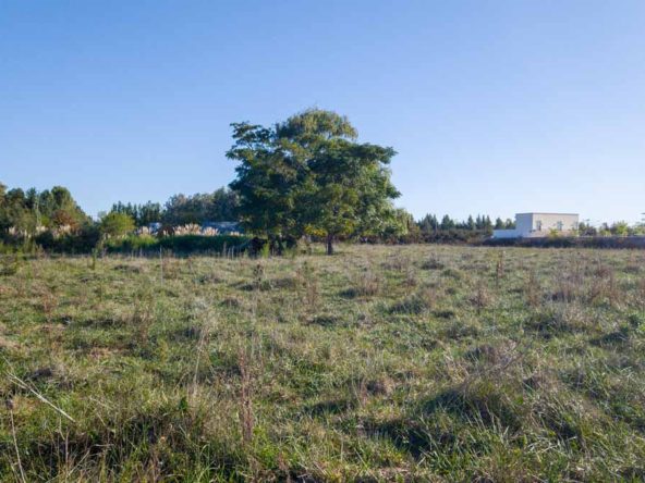 6 terrenos de 40m x 40m en Villa Loguercio