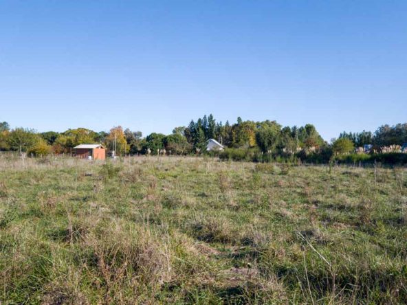 6 terrenos de 40m x 40m en Villa Loguercio
