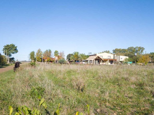 6 terrenos de 40m x 40m en Villa Loguercio