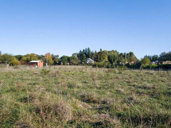 6 terrenos de 40m x 40m en Villa Loguercio