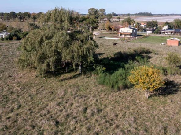 6 terrenos de 40m x 40m en Villa Loguercio