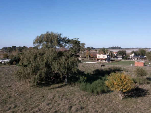 6 terrenos de 40m x 40m en Villa Loguercio