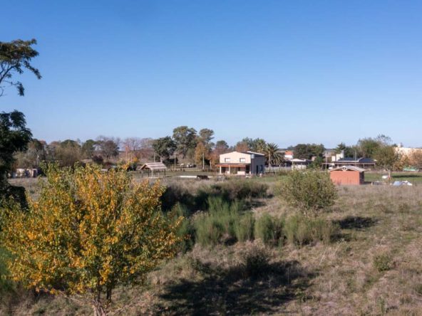 6 terrenos de 40m x 40m en Villa Loguercio