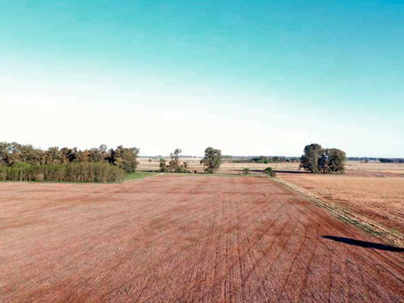 Campo 46 Hectáreas en La Porteña