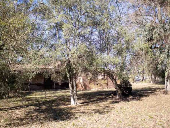 Chacra de 3,2 Hectáreas en Navarro