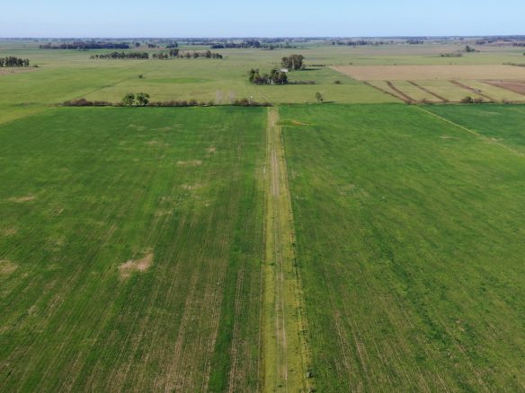 Sebastián Zara Excelente campo de 99 hectáreas en Zapiola, Lobos - NO DISPONIBLE -