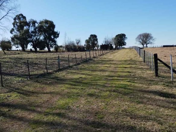 Sebastián Zara Chacra en venta de 21 hectáreas en 25 de Mayo - NO DISPONIBLE