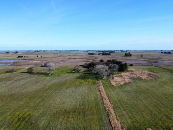 Sebastián Zara Campo de 39 hectáreas en Saladillo