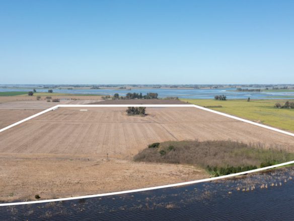 Sebastián Zara Campo de 90 hectáreas en Elvira