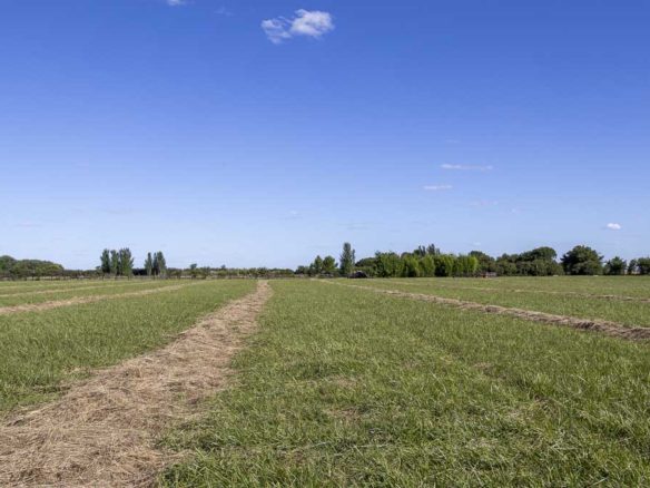 Sebastián Zara Terreno de 1 hectárea en Santa Maria - Financiación