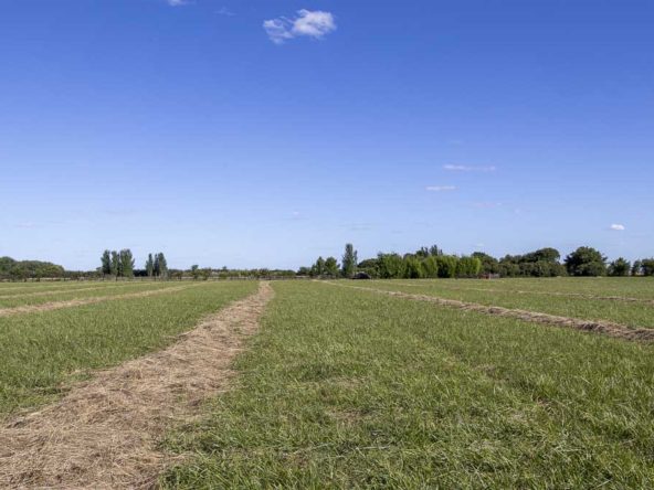 Sebastián Zara Terreno de 1 hectárea en Santa Maria - Financiación