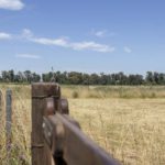 Sebastián Zara Terreno en Zapiola - RESERVADO