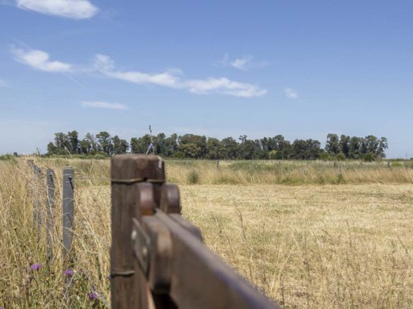 Sebastián Zara Terreno en Zapiola - RESERVADO