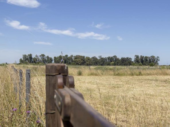 Sebastián Zara Terreno en Zapiola