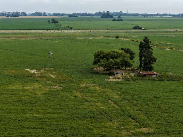 Sebastián Zara Campo de 55 hectáreas en Salto, Bs As