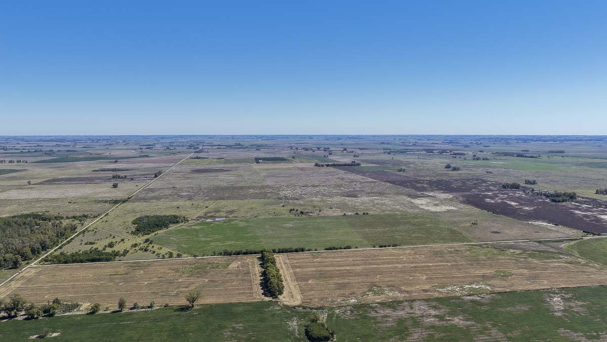 web R063 – 220 HAS-1