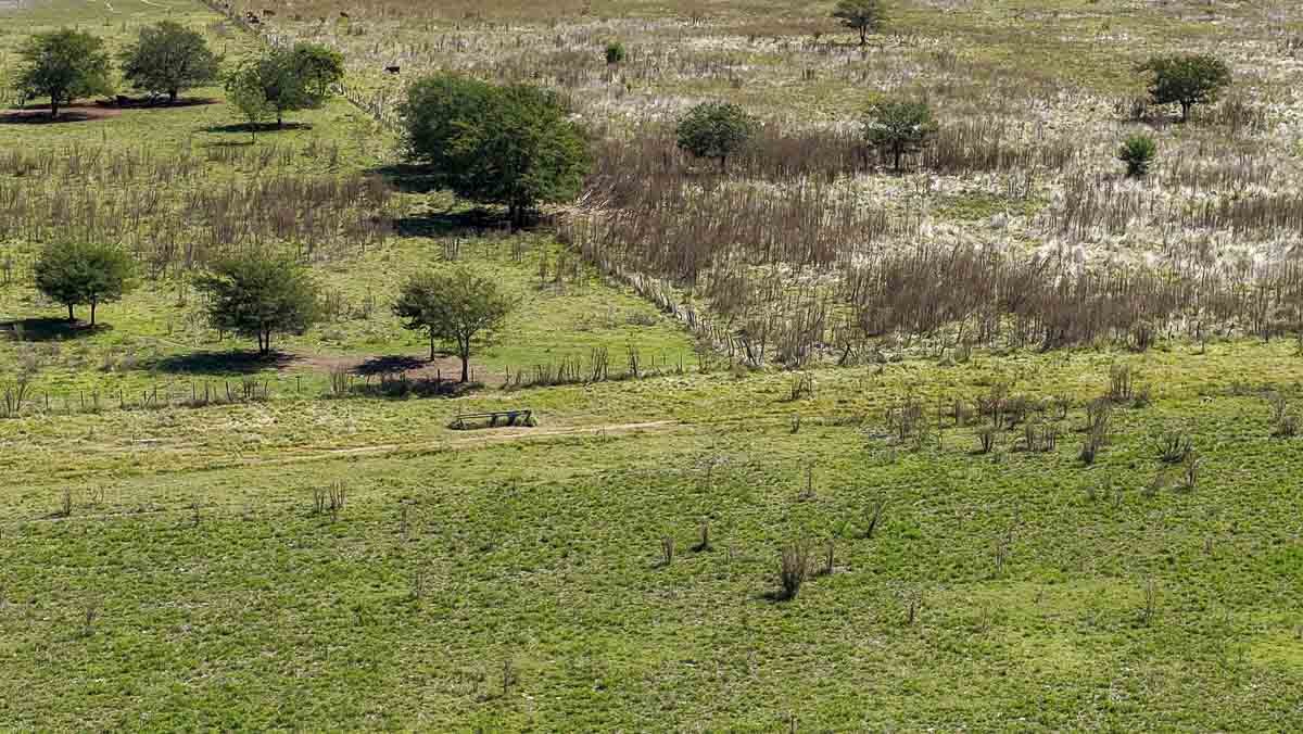 web R063 – 220 HAS-10