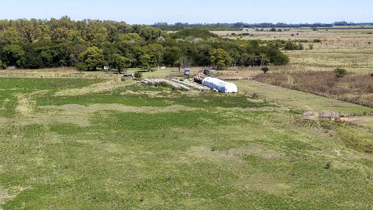 web R063 – 220 HAS-11