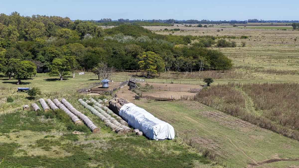 web R063 – 220 HAS-12