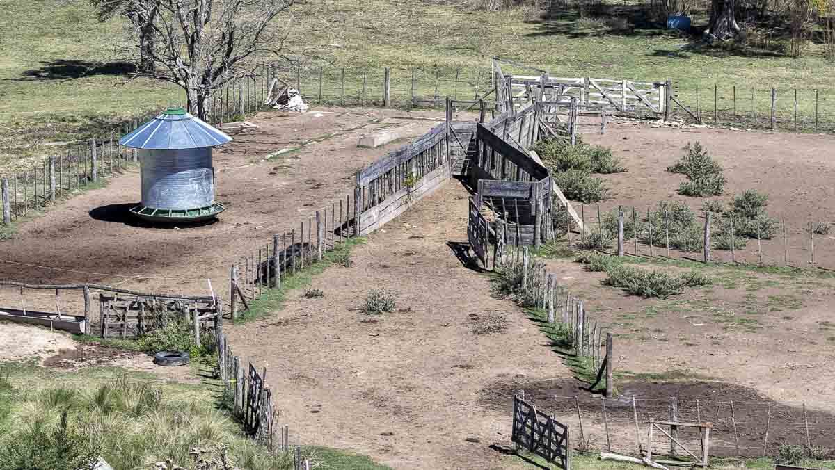 web R063 – 220 HAS-13