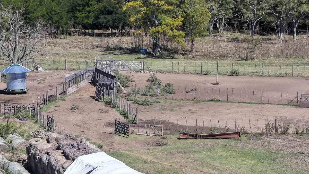 web R063 – 220 HAS-15