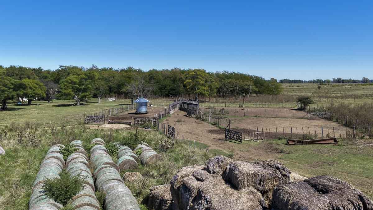 web R063 – 220 HAS-16