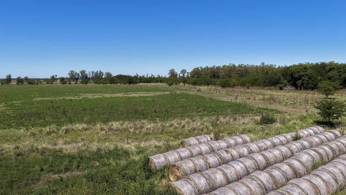 web R063 – 220 HAS-18