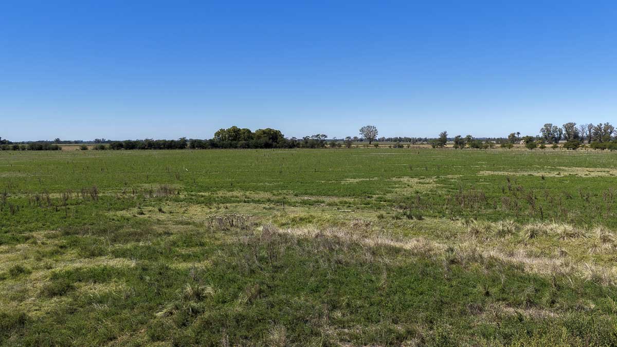 web R063 – 220 HAS-19