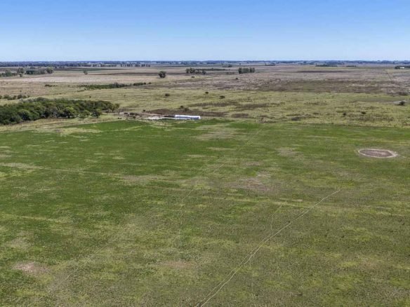 Sebastián Zara Campo de 220 hectáreas en Mercedes, Bs As