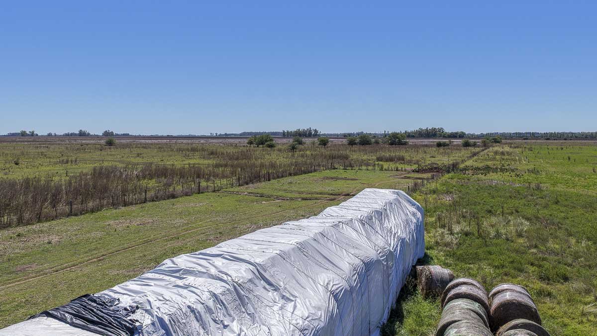 web R063 – 220 HAS-20