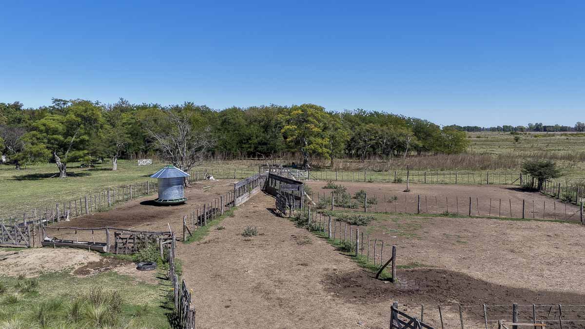 web R063 – 220 HAS-21