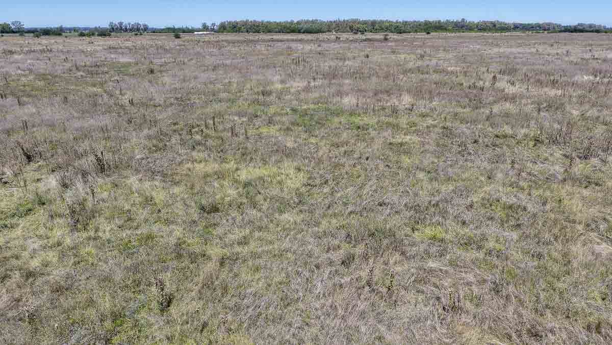 web R063 – 220 HAS-22