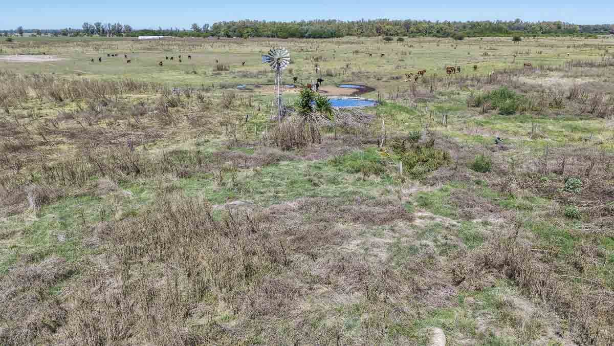 web R063 – 220 HAS-23