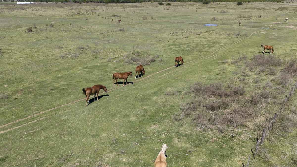 web R063 – 220 HAS-25