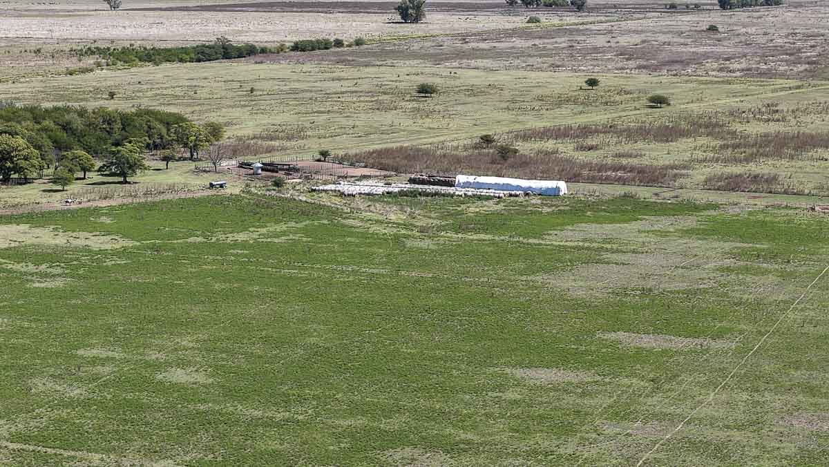 web R063 – 220 HAS-3