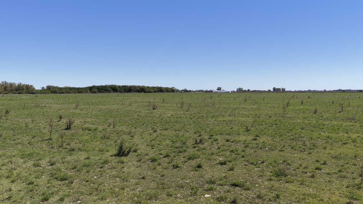 web R063 – 220 HAS-31