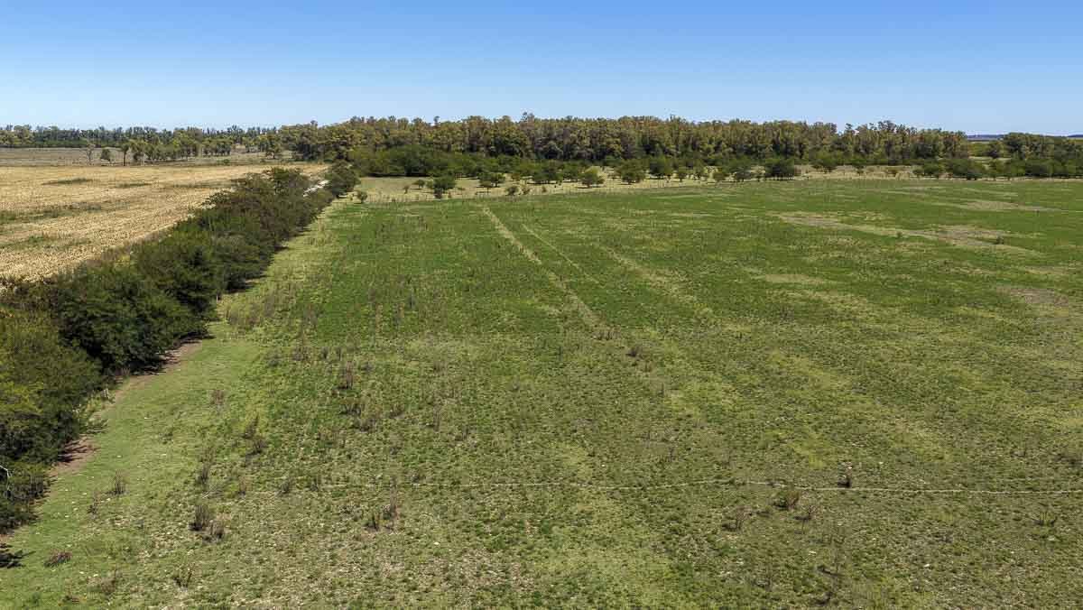 web R063 – 220 HAS-32